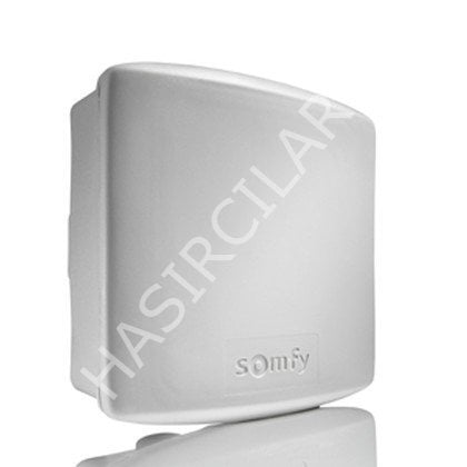 Somfy 100 nm Tüp (Tubular ) Kepenk Motor  Motoru ve  Alıcı Set